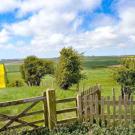 Hare